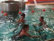 52977040 733425433717587 9179754883027304448 n