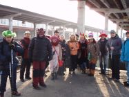 28061784 510305936029539 8659849586404588665 o