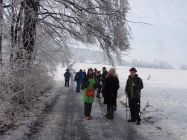 28070847 510307542696045 2456889863386665412 o