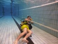 42392824 661816830878448 3257790328182145024 n