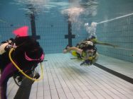 43544686 661817467545051 6693257307301609472 n