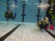 43663876 661817434211721 4146688910224785408 n