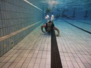 43692003 661816747545123 4653106352317530112 n