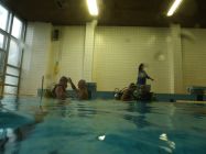 44671236 661816544211810 8396773673427533824 n