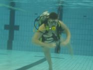 44755998 661816964211768 8932519200916766720 n