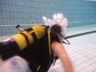 44769072 661817484211716 6654745490904580096 n