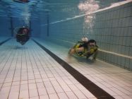 44772635 661816570878474 3229036716136333312 n