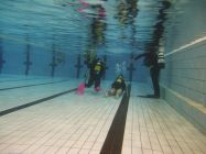 44818057 661817137545084 8305905093295734784 n