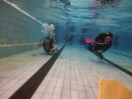 44841955 661817720878359 7102093667954851840 n