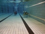 44894263 661816590878472 8529562891009916928 n