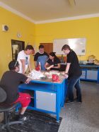 Workshop-drevarska-dilna-2021