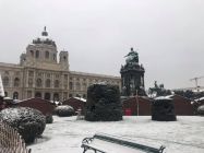 47289373 685107091882755 1197419173974638592 n