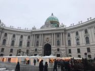 47482720 685106688549462 8446370547012468736 n