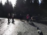 29595470 530178400708959 822634348003305668 n