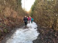 29595515 530179214042211 9165296868329410990 n