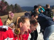 29683634 530178680708931 8202027188871984122 n