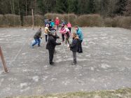 29744471 530179384042194 8749774232963441489 o