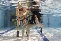 328129950 720184386491262 2785449773778219791 n