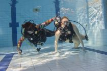 328149128 872163810718527 4135501921148644629 n