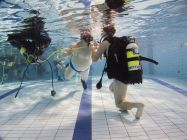 328278787 906254977228524 659566920446437639 n