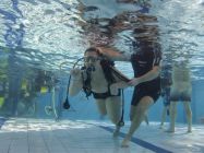 328961626 911036970315811 6397259567768817421 n