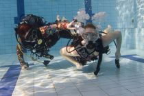 329203843 891935128589823 815646738052085964 n