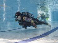 329217252 996809174627344 7786680782638900014 n