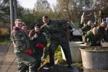 43342636 654983751561756 804708070465732608 n