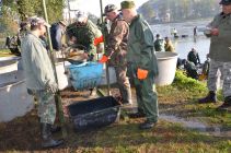 43524445 654984354895029 110954505792651264 n