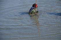 43528182 654984764894988 7640642494828380160 n