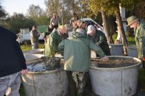 43534307 654984074895057 4845068146085724160 n