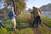 43536259 654984574895007 5878157739556864000 n