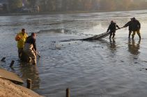 43542739 654982778228520 8946522971850145792 n