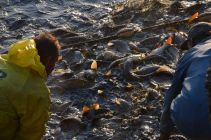 43544669 654983661561765 7501273829730156544 n