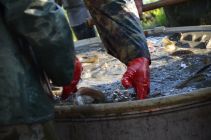 43556305 654981541561977 3273427904674922496 n