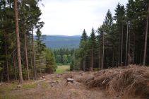 69834285 852372405156222 5305016580361420800 n