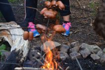 69866617 852372175156245 9077022276079058944 n