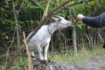 69884350 852372351822894 1215162796270944256 n